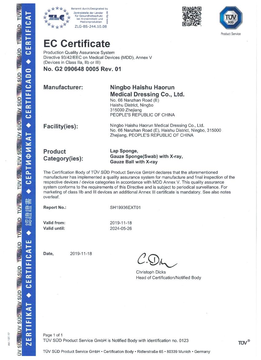 Haorun Medical dá as boas-vindas à auditoria oficial da TÜV, estabelecendo um alto padrão para qualidade de exportação de dispositivos médicos com padrões internacionais